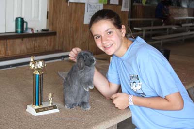 Blue Holland Lop Junior Doe.